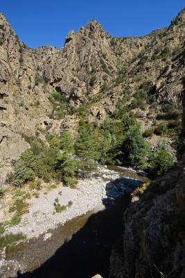 Gorges de l'Asco