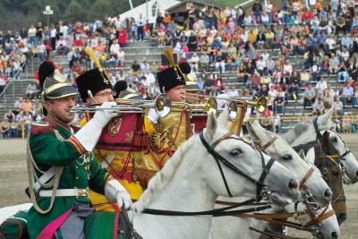 Marbach Hengstparade 2005