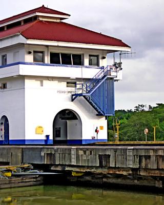 Pedro Miguel 2