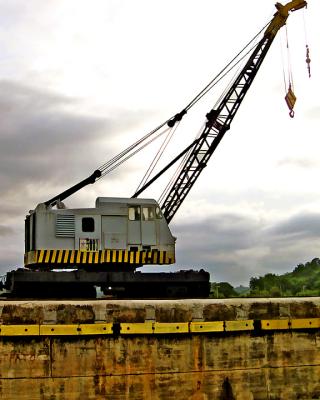 Crane