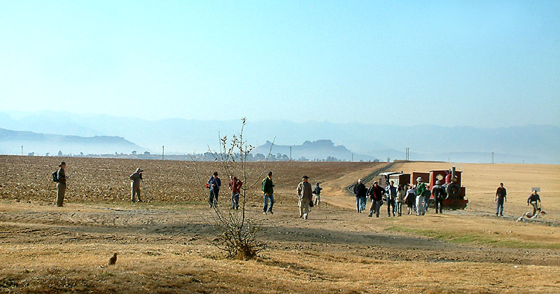 The Spectators - a ground squirrel and photographers.