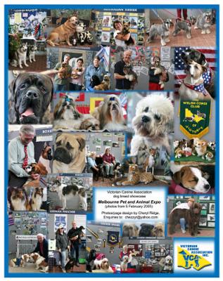 Pet Expo photo montage in National Dog magazine