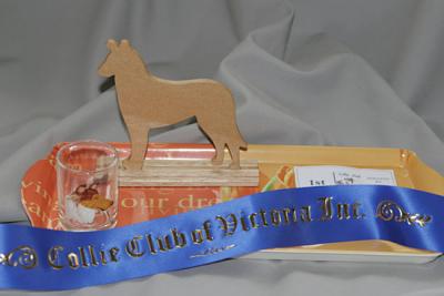 rosie's awards/mementos from the collie club championships