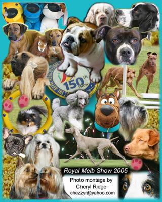 Royal Melbourne Show photo montage in National Dog magazine