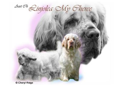 a clumber spaniel montage