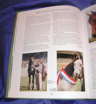 Arabian Horse in Australia book - several images supplied