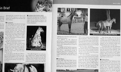 Images supplied for Arabian Horse Express magazine