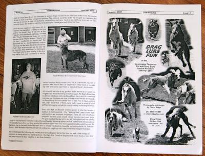 Deerhound club magazine - photo montage