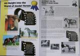 Article including layout and photos for Horsepower magazine