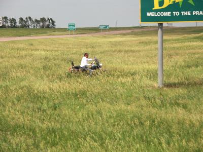 tall grass 2.jpg