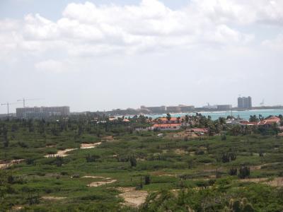 View from Lighthouse.jpg