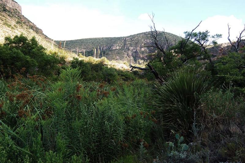 Sitting Bull Falls, NM