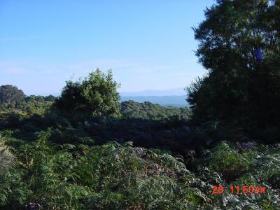 View of the eastern ranges from the top of Durras Mountain