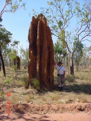 me with a giant termite tower