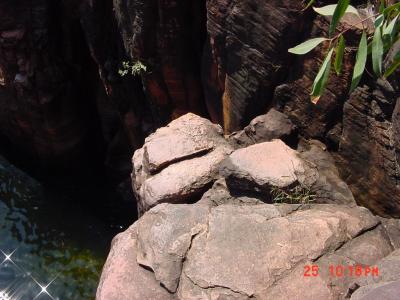 Jump rock at twin falls.  You could swim up the crack to the right to a neat little cave.