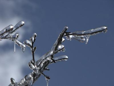 Ice Storm 2