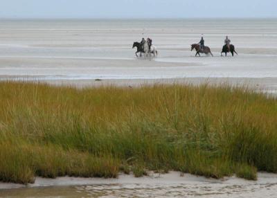 Cape Cod Riders