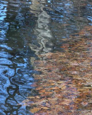 v3/24/539824/3/46655702.Nature031108fiverivers02a.jpg