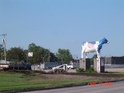 LC0816a- 035 Stockmen's Giant Cow.jpg
