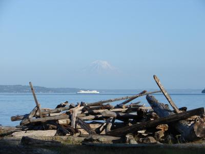051 - Logs on beach with Mt. Rainier.jpg