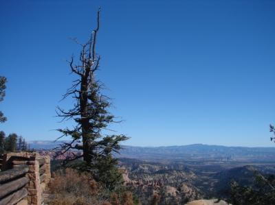 000 - Carving Canyons 98.jpg