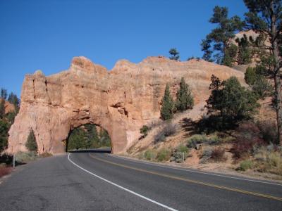 Carving Canyons 2005