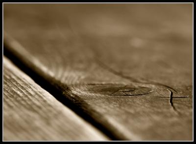 v3/24/542224/3/49023584.DSC_3599_f.jpg