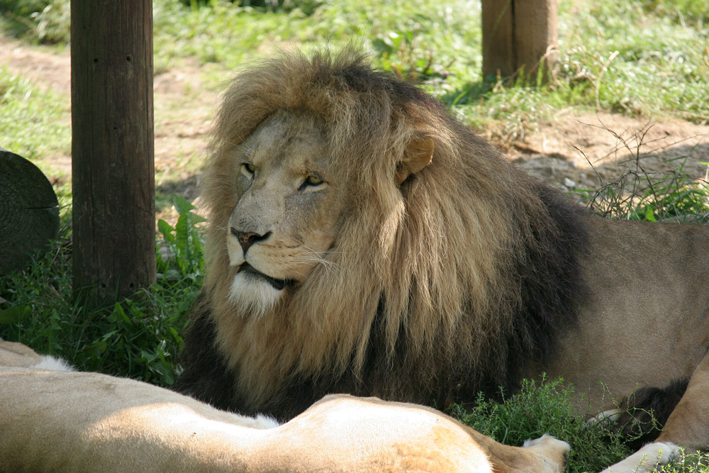 P_2744.jpg