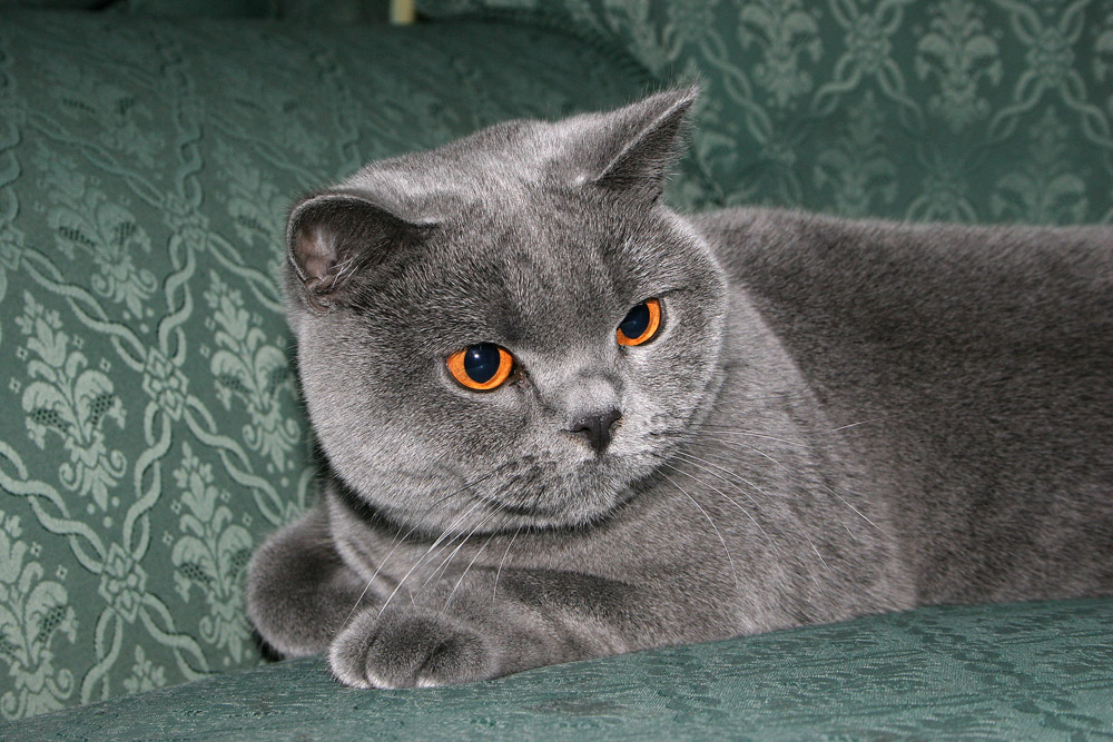 PH_4268.jpg