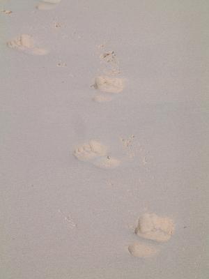 footsteps in the sand.jpg