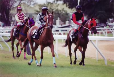 at the races.jpg