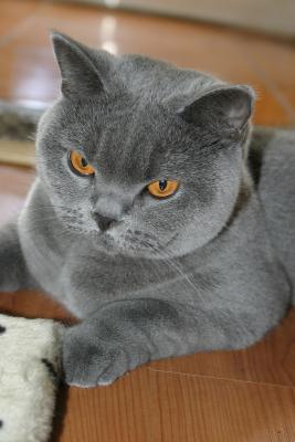P_3612.jpg