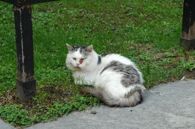 DSC_1563.jpg