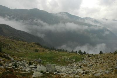DSC_1625.jpg