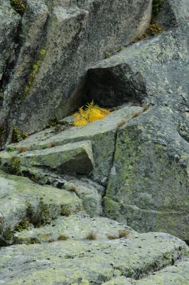 DSC_1627.jpg