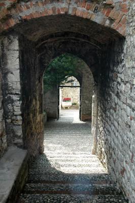 DSC_1645.jpg