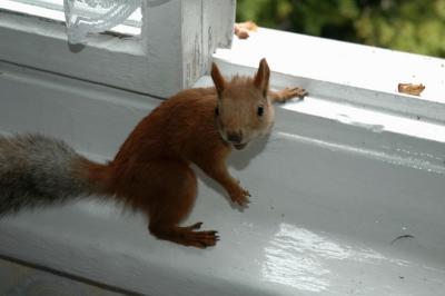 DSC_0900.jpg