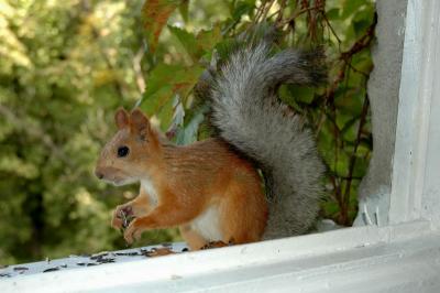DSC_0956.jpg