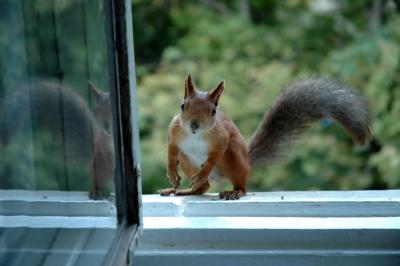 DSC_0975.jpg