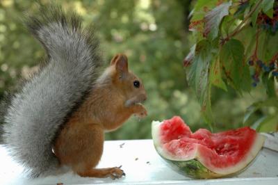DSC_1112.jpg