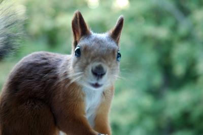 DSC_1130.jpg
