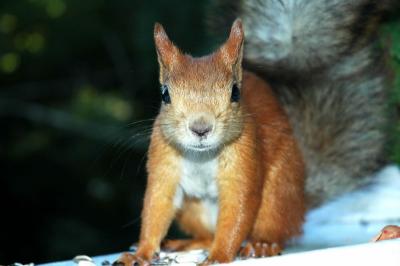 DSC_1139.jpg