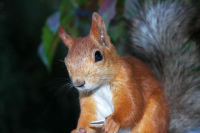 DSC_1153.jpg