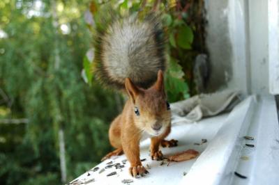 DSC_1155.jpg