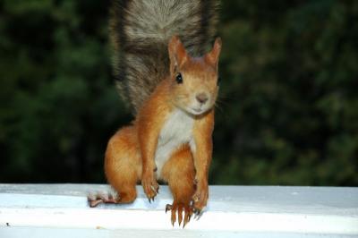 DSC_1158.jpg