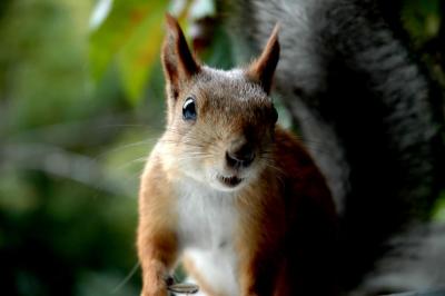 DSC_1202.jpg