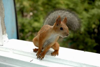 DSC_1212.jpg