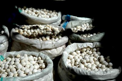 kurut (kyrgyz dry cheese)