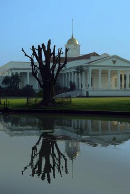 Bogor palace backyard another shot