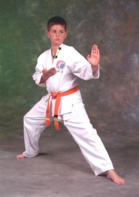 v3/24/66324/3/46850869.ian_karate.jpg